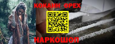МДПВ Камышлов