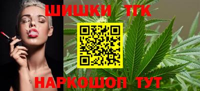 МДПВ Камышлов