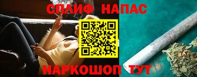 МДПВ Камышлов