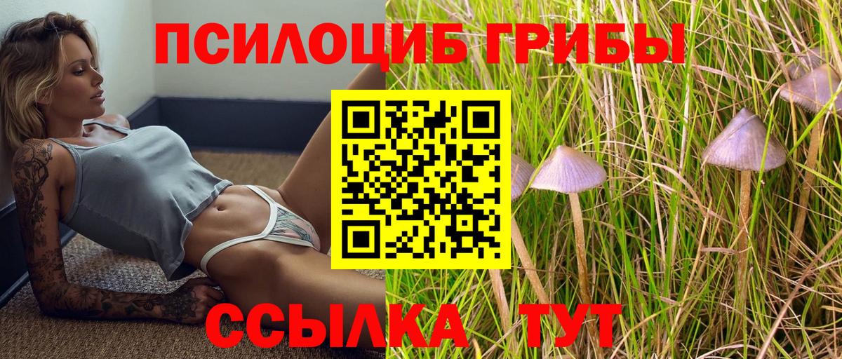 Галлюциногенные грибы Cubensis Волоколамск