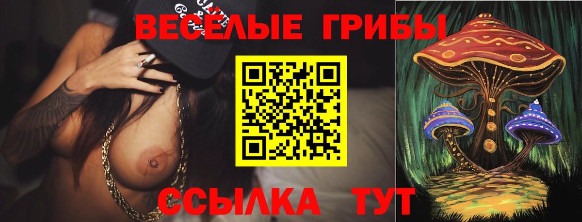 Галлюциногенные грибы Psilocybine cubensis  Вход с VPN  Волоколамск 